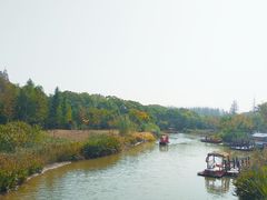 -上海长兴岛郊野公园