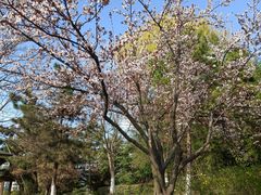 -白塘生态植物园