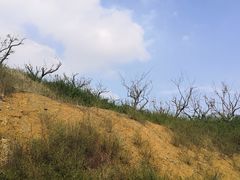 -天河潭旅游度假区