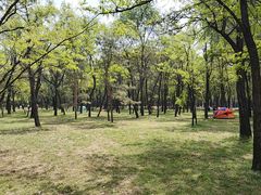 -森林公园(尖草坪区)