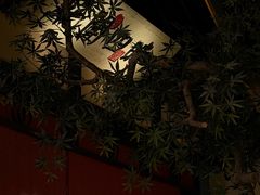 -苏乡兰亭·新派淮扬菜(吾悦广场店)