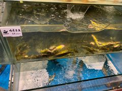 -胖姐渔村(中源大道店)