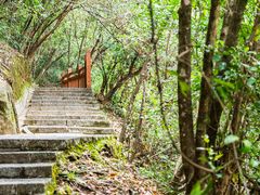 -广州白江湖森林公园