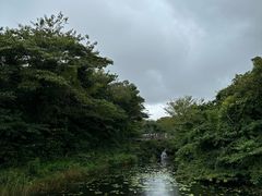 -济州森林小火车生态公园