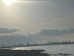 -上海滨江森林公园