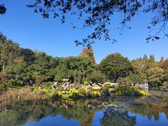 -杭州植物园