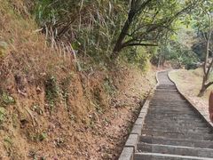 -田心森林公园