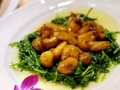 豆苗炒松茸-功德林(南京西路店)