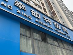 -恒幸动物医院·急重症转诊中心·神经内外科·CT核磁