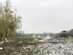 -前关湿地公园