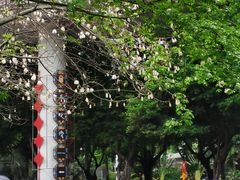 -荔湾湖公园