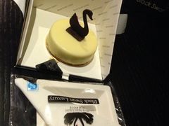 -BLACKSWAN黑天鹅(环球店)