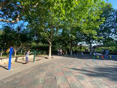 -大兴滨河森林公园