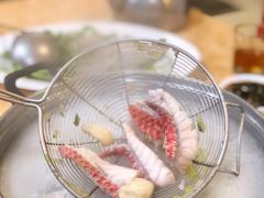 -金砂阿洲鱼册店