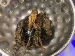 -瑞德姆美人鱼海底演艺主题餐厅(亚龙湾店)