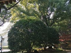 -上海兴国宾馆香樟园西餐厅