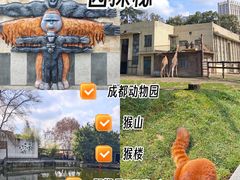 -成都动物园