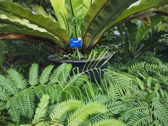 -国家植物园南园