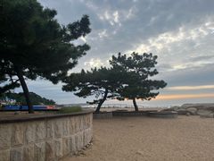 -老虎石海上公园