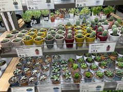 -鹿岛生活(熙地港店)