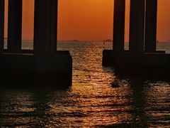 -宝安西湾红树林湿地公园