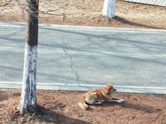 -祝甸砖窑文化馆