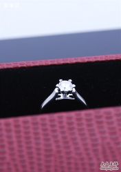 _DSC1696_副本-威德钻石-克拉钻大本营(南京东路店)