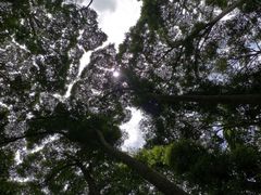 -都江堰普照寺