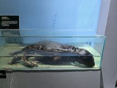 -泉城欧乐堡海洋极地世界