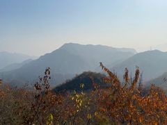 -大岭沟猕猴桃谷风景区
