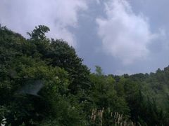 android_upload_pic-宁波浙东大竹海景区
