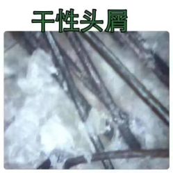 -曼都发型