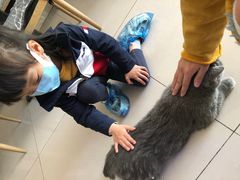 -平行世界·猫咖(首经贸店)