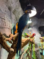 -Zoolung Zoolung动物主题公园(海信广场店)