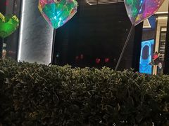 -Boxing Cat Brewery拳击猫精酿啤酒馆(永福店)