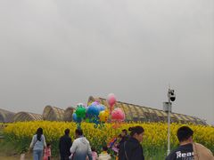 -中国天府农业博览园