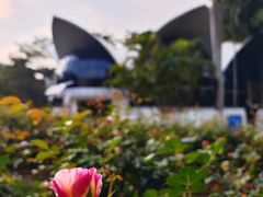 -人民公园(罗湖区)