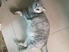 -上海大学嘉定校区-食堂