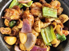 -鸽小宝(深圳首店)