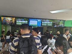 -圣淘沙天际线斜坡滑车