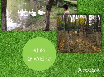 树上？走？你信吗？ 快来冒险森林看看吧