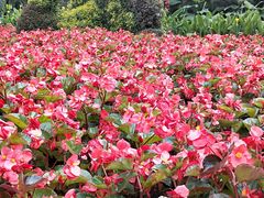 -长白岛森林公园