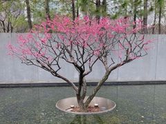 -静安雕塑公园