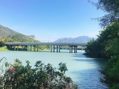 -广州市流溪河国家森林公园