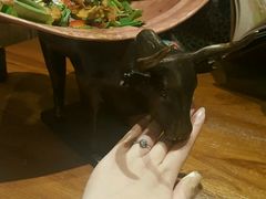 -云海肴·汽锅鸡·云南菜(天津国金汇店)