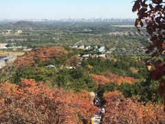 -北京西山国家森林公园