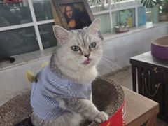 -小时光咖啡馆(北锣鼓巷店)