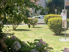 -名点荟·生日蛋糕·下午茶(五缘湾店)