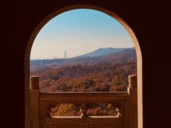 -灵谷景区
