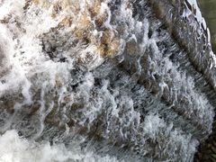 -桤木河湿地公园